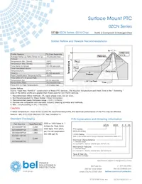 0ZCN0075FF2A Datasheet Page 4