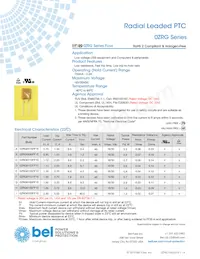 0ZRG0250FF2E Datenblatt Cover