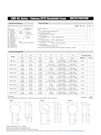 CMF-RL55A-10-0 Datasheet Page 2