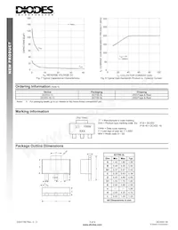 DCX53-16-13 Datasheet Pagina 3