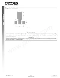DCX53-16-13 Datasheet Pagina 4