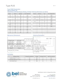 RJS 600-R SHORT Datasheet Pagina 4