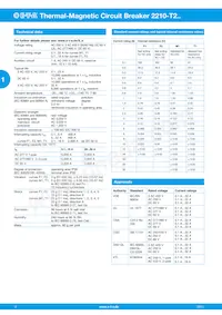 2210-T230-K0M1-H131-32A Datasheet Page 2