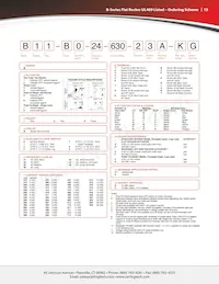 BA2-B0-22-625-227-D Datasheet Page 15