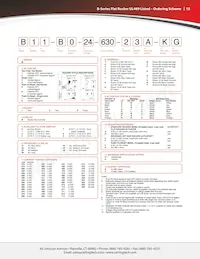 BA2-B0-22-625-227-D 데이터 시트 페이지 15