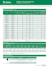 P3500ECRP2 Datenblatt Seite 2