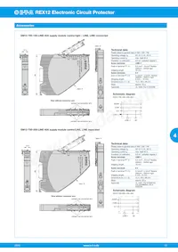 REX12-TA2-107-DC24V-3A/3A Datenblatt Seite 13