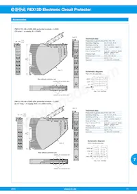 REX12D-TA2-100-DC24V-6A/6A Datenblatt Seite 11