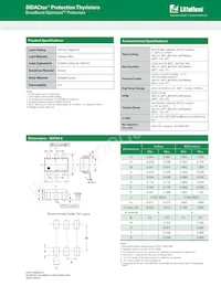 SDP0240T023G6RP Datenblatt Seite 4