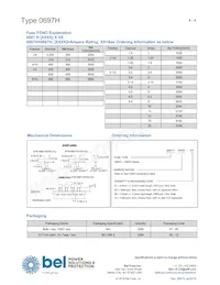 0697H3000-02 Datasheet Page 4