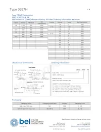 0697H3000-02數據表 頁面 4