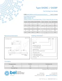 0ADBP0250-RE Datasheet Page 4