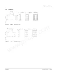 1020010 Datasheet Page 13