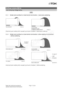 B72440P5040S260 Datasheet Page 17