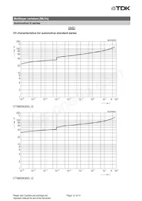 B72540G1300K62 Datasheet Pagina 12