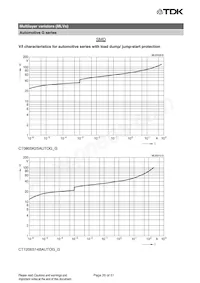 B72540G1300K62 Datasheet Page 20