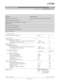 B88069X0260S102 Datasheet Pagina 3