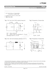 B88069X0260S102 Datasheet Pagina 4