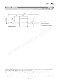 B88069X0260S102 Datasheet Page 5