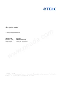 B88069X0880S102 Datasheet Cover