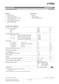 B88069X2590S102 Datasheet Page 2