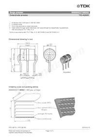 B88069X2710B502 Datasheet Pagina 3