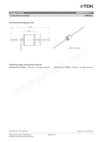 B88069X2910S102 Datasheet Pagina 3