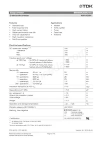 B88069X2920C103 Datasheet Page 2