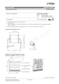 B88069X3263B252 Datasheet Pagina 3