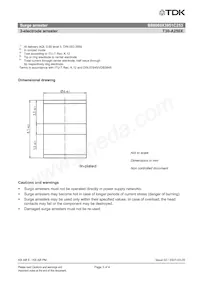 B88069X3951C253 Datasheet Pagina 3