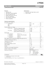 B88069X4131S102 Datasheet Pagina 2