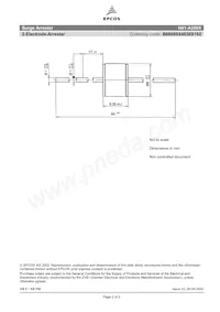 B88069X4830S102 Datenblatt Seite 2