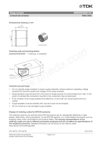 B88069X4890C103 Datasheet Pagina 3