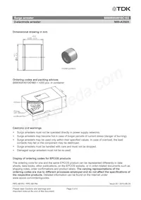 B88069X4910C103 Datasheet Pagina 3