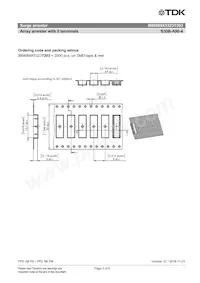 B88069X5323T203 Datasheet Page 5