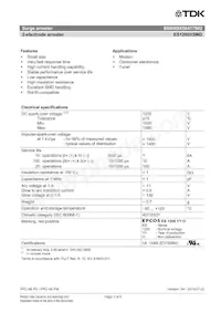 B88069X5641T902 Datasheet Pagina 2