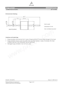 B88069X6701S102 Datasheet Page 3