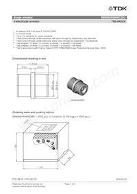 B88069X6980C203 Datasheet Pagina 3