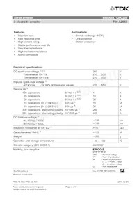 B88069X7120C203 Datasheet Page 2