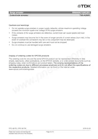 B88069X7120C203 Datasheet Pagina 4