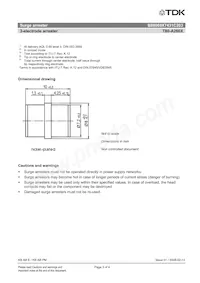 B88069X7431C203 Datasheet Page 3