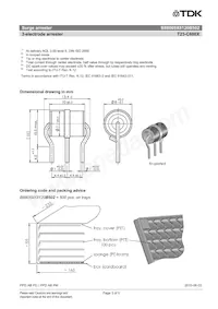 B88069X8120B502 Datasheet Pagina 3