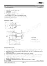 B88069X8250B502 Datasheet Page 3