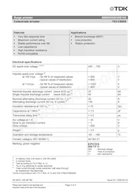 B88069X8830B102 Datasheet Page 2