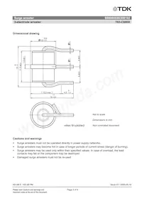 B88069X8830B102 Datasheet Page 3