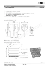 B88069X8840B502 Datasheet Pagina 3