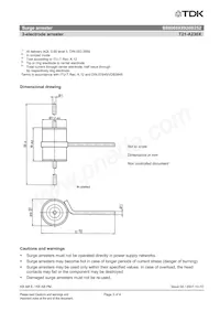 B88069X8920B252 Datasheet Pagina 3