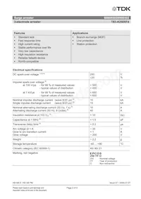 B88069X8990B502 Datasheet Page 2