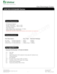 GTCA25-401M-R02 Datenblatt Seite 4