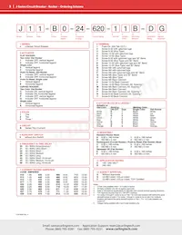 J61-B0-24-620-K3C-D3 Datasheet Pagina 3